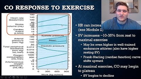 Exercise and the Cardiovascular Response Pt 2
