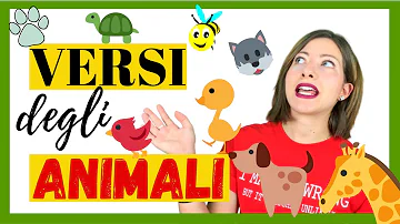 Come si chiamano i suoni degli animali?