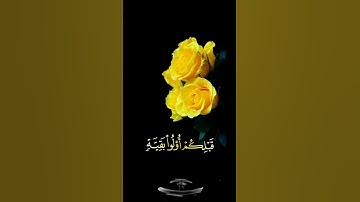 صباح الخير 💛حالات واتساب مقاطع قصيره💛قران كريم سورة هود واصبر فإن الله لا يضيع💛اسلام صبحي بدون حقوق