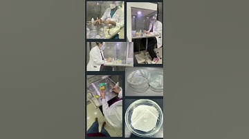 Exploring the fascinating world of fungi with the slide culture technique 🍄🔬| AcentricBiotech Mohali