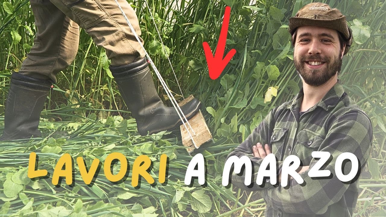 Lavori in Orto a Marzo e Piani per un Orto Super Produttivo.