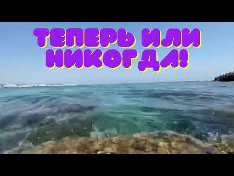 ТЕПЕРЬ ИЛИ НИКОГДА!
