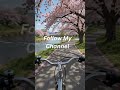 POV Cycling Through a Magical Autumn Forest #shorts #short #viralvideo #trending