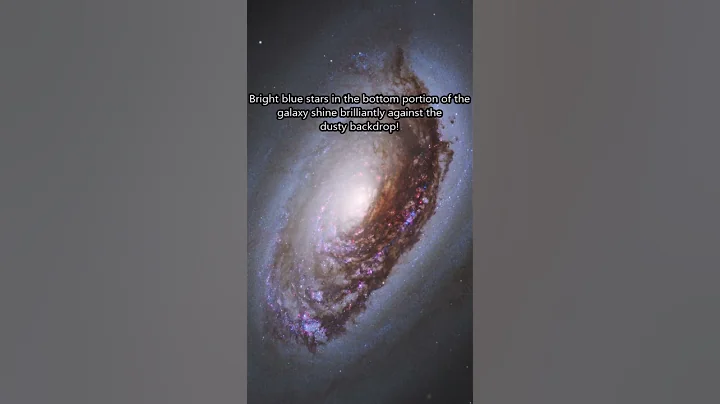 image for \<strong>\<strong>\<strong>\<strong>\<strong>\<strong>The Black Eye Galaxy\</strong>\</strong>\</strong>\</strong>\</strong>\</strong>: A Galaxy with a Dark Center