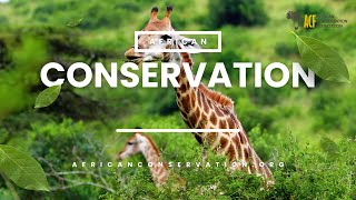 Linking people and conservation