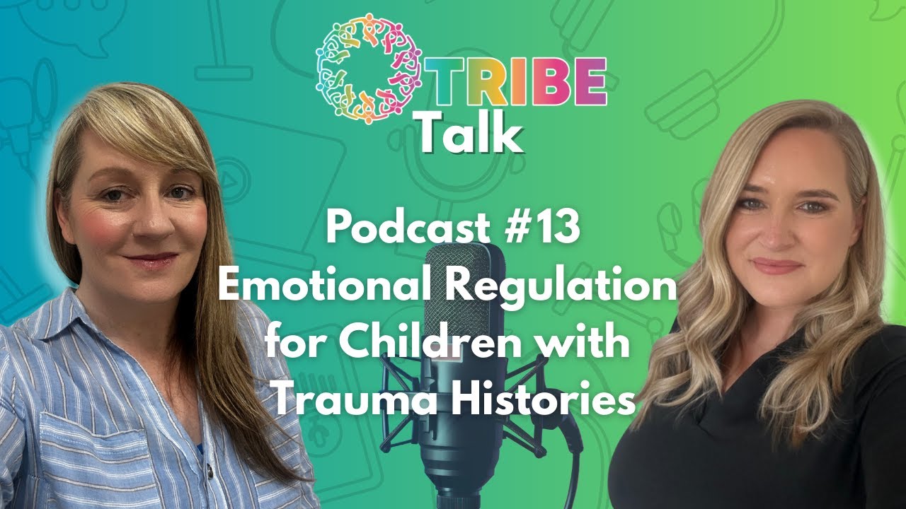 Emotional Regulation for Children With Trauma Histories | 