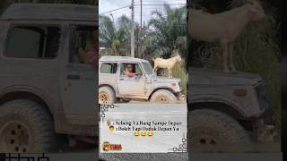 Download Lagu Pelan Pelan Pak Sopir MP3 Download Lagu Pelan Pelan Pak Sopir MP3