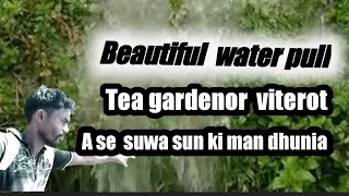 Ananta Best Channel .Video Beautiful Water Pull Tea Gardenor Viterot A Se Suwa Sun. Video