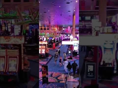 FOGHAT - "Play That Funky Music" (Live At Magic City Casino, Miami, November 2021 - MSV Prods).
