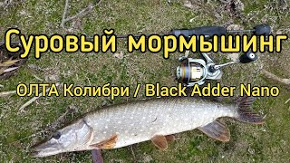 Злые щуки будут наказаны! Суровый мормышинг или мормо-микроджиг. ОЛТА Колибри / Black Adder Nano