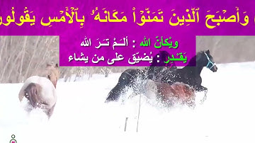 395 - (ما معنى : ويْكأنّ الله ) سورة القصص الْآيَةَ 78 - 84 ( Translatorمترجم)