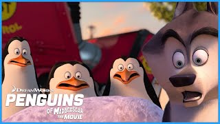 The Penguins CAPTURE Dave The Octopus! 🐙😲 | Penguins Of Madagascar | DreamWorks Madagascar