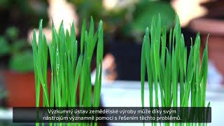 Životní Prostředí V Praze Vúrv Komercializace Výzkumu České Titulky