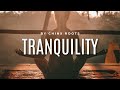 Reggae Beat Instrumental | 2024 | Tranquility