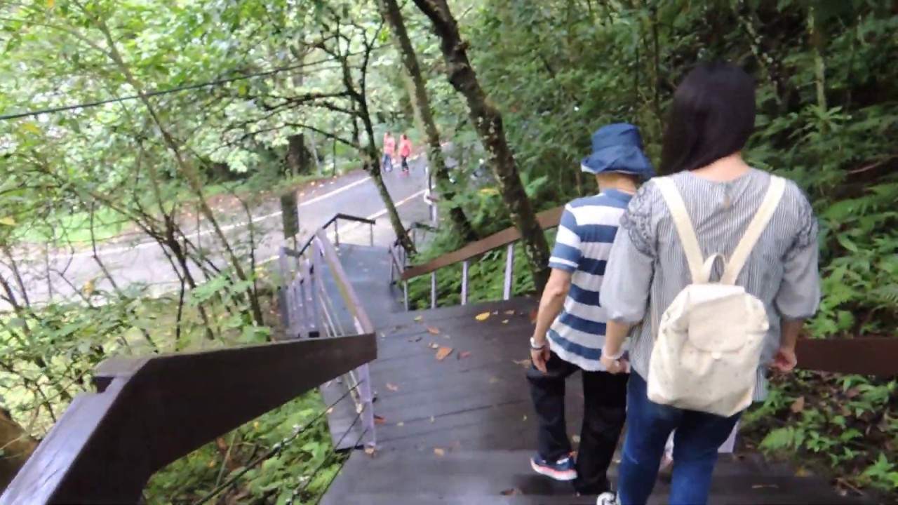 【桃園十八尖山】百吉林蔭步道｜分享桃園大溪很像十八尖山的林蔭步道｜防疫親近大自然篇｜李希去走走