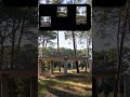 TURN ANY BUILDING PHOTO TO A TIMELAPSE CONSTRUCTION