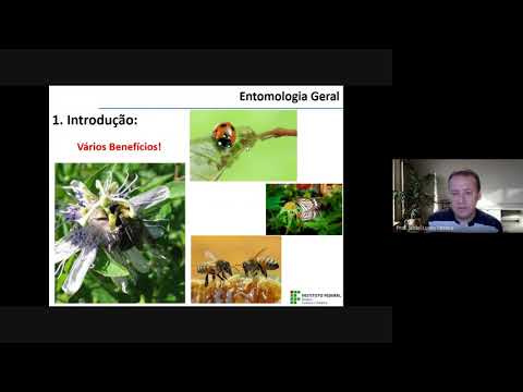 Vídeo: Quando começou a entomologia?