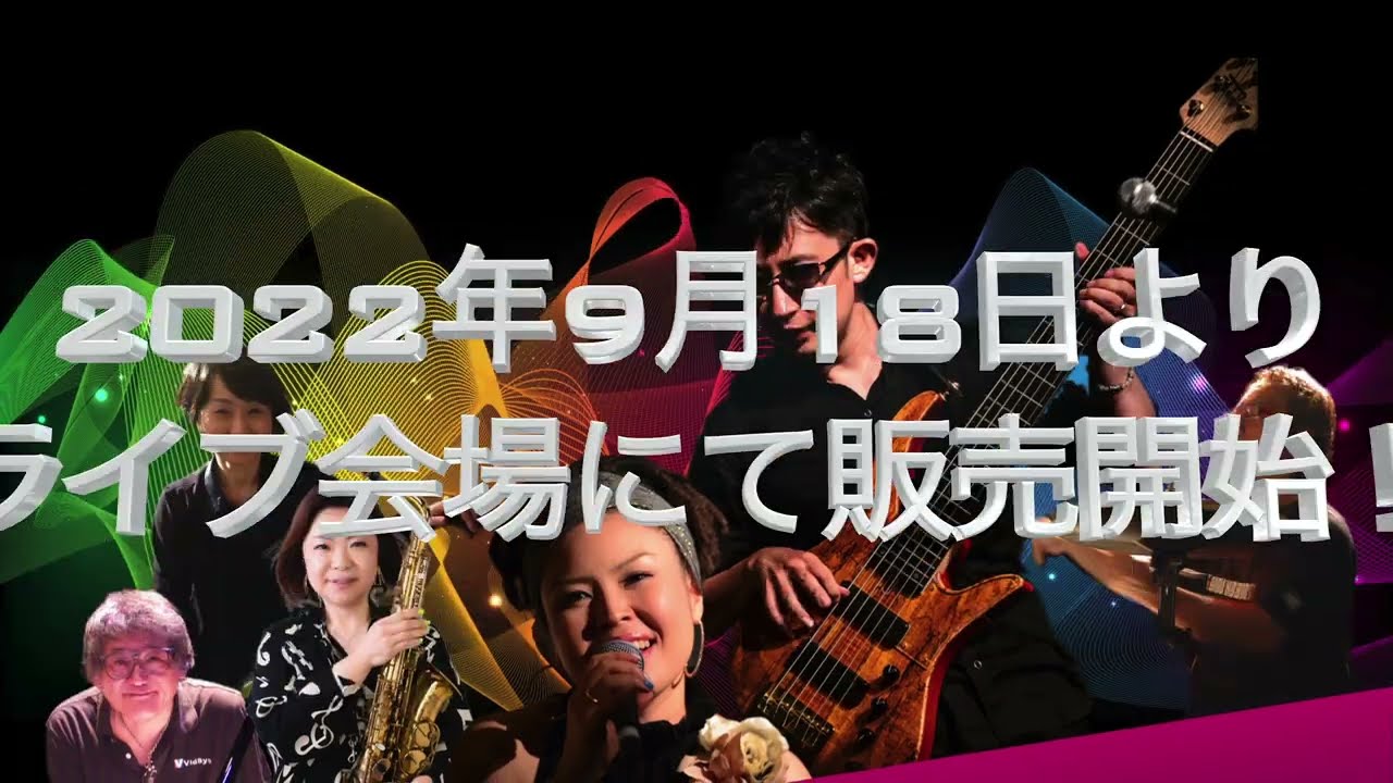 12/20までの販売]TRICKFISH BULLHEAD 1K（TRICKFISH AMPLIFICATION 
