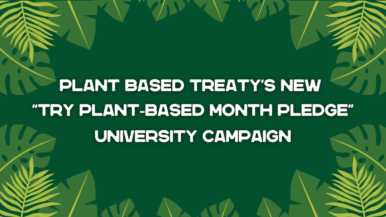 Try Veganuary University Pledge Campaign: A Webinar by Plant Based Treaty
