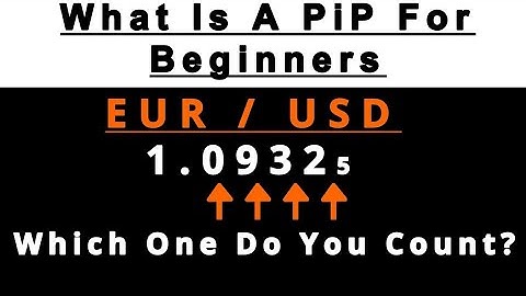 Forex;What is a Pip?(Beginners must learn this first)