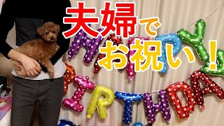 愛犬トイプードルの誕生日を夫婦ではしゃいでお祝い！！