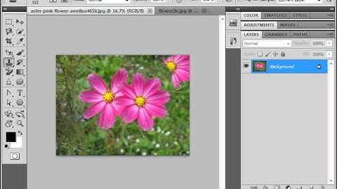 Photoshop CS5 Tutorial The Clone Stamp Tool Adobe Training Lesson 14.15