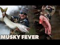 Musky Fever (Fly Fishing an Apex Predator)