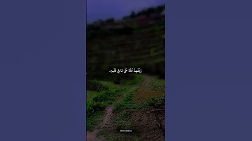 اكتب شيء تؤجر عليه ❤😴 #القرآن_الكريم #تلاوة_خاشعة