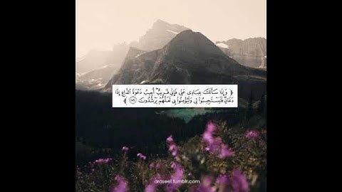 سورة البقرة الآية ١٨٦ بصوت الشيخ أحمد بن علي العجمي ❀