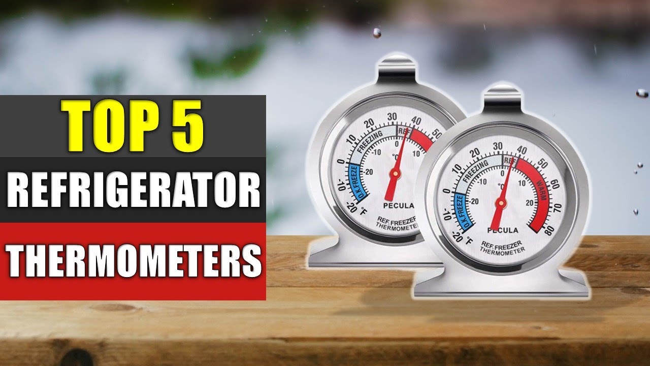 Top 5 Best Refrigerator Thermometers Reviews 2022 YouTube