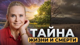 видео: ИЗ-ЗА ЭТОГО ТЫ БОЛЕЕШЬ И ТЕРЯЕШЬ БЛИЗКИХ! Разбор 3 реальных историй картинка: ИЗ-ЗА ЭТОГО ТЫ БОЛЕЕШЬ И ТЕРЯЕШЬ БЛИЗКИХ! Разбор 3 реальных историй