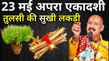23 मई अपरा एकादशी तिथि के दिन तुलसी की सुखी लकड़ी वाला उपाय करें | Apara Ekadashi Pradeep Ji Mishra
