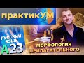 Русский язык Подготовка к ЦТ Морфология прилагательного.