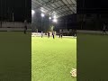 Cricket Fever in 30 Seconds!