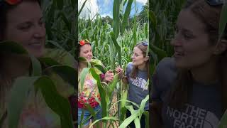 Kornfield Jokes Pt. 1 #heehaw