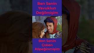 Ben Senin Yavuklun Değilmişim Çoban Köpeğinmişim #komedi #sakiler #memes