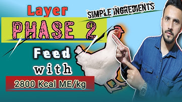 Layer feed formulation / Layer PHASE 2 feed formulation / How to prepare layer feed at home