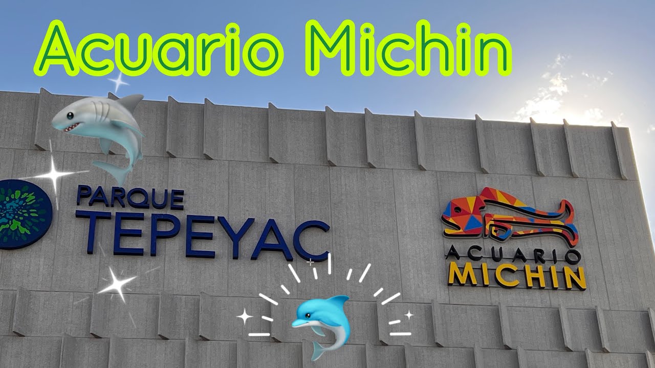 Acuario Michin CDMX / visita conmigo /Sarah_meow - YouTube