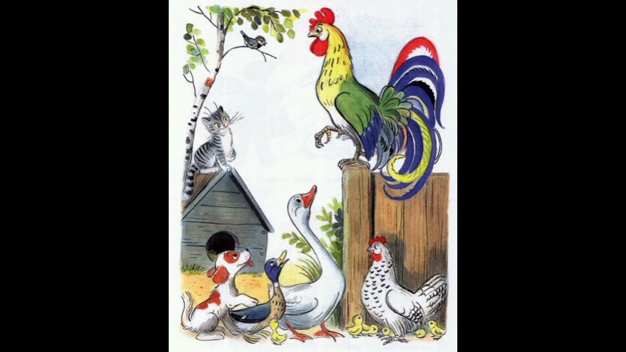 владимир сутеев петух и краски. петух сутеев. в. сказка сутеева петушок и краски. иллюстрации к сказке сутеева петух и краски.