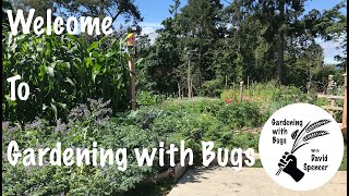 Welcome to Gardening With Bugs by Gardening with Bugs 224 views 2 years ago 5 minutes, 22 seconds
