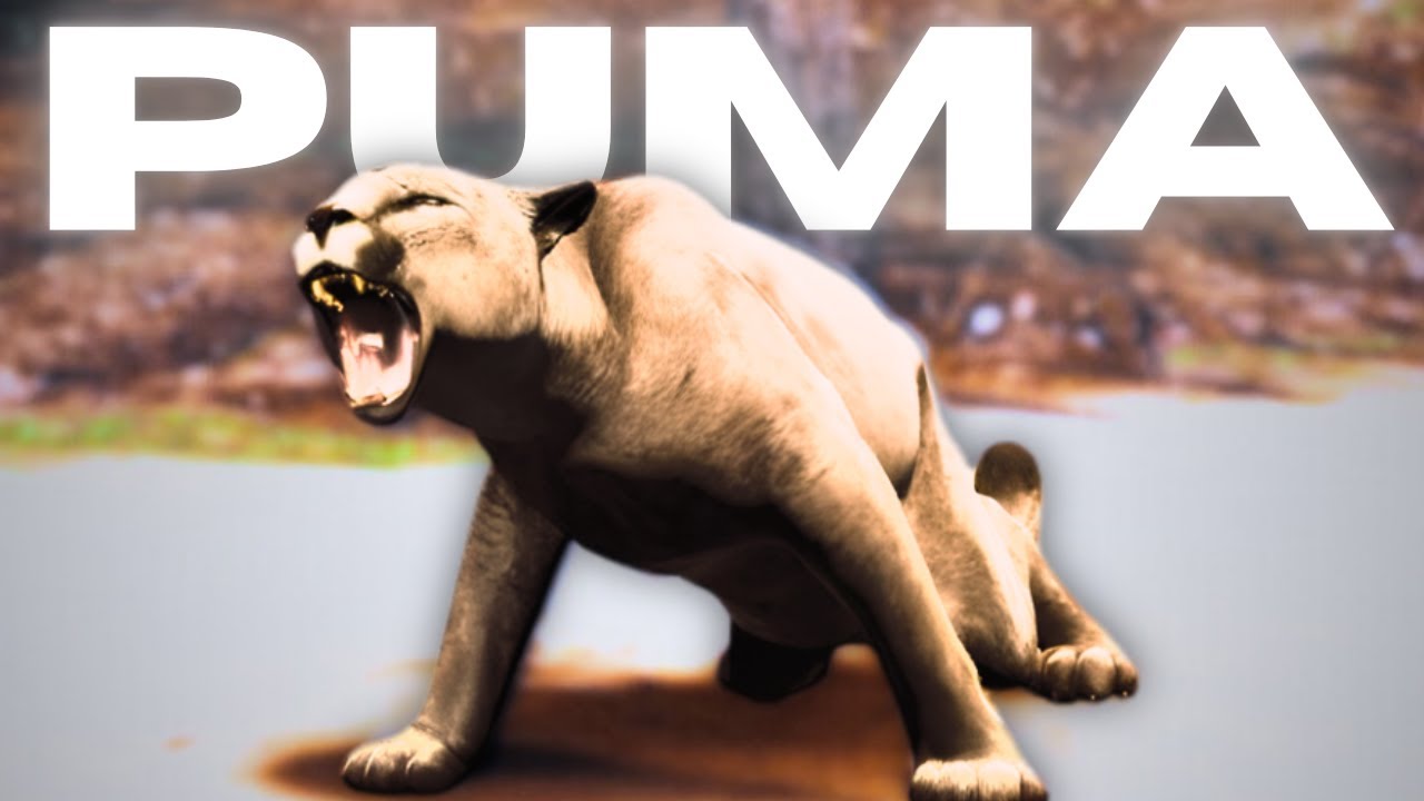 ВЫЖИВАНИЕ В ОБРАЗЕ ПУМЫ | Дикая природа