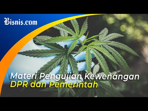 MK TOLAK UJI MATERI LEGALISASI GANJA MEDIS