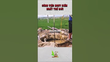 Công Việc Nguy Hiểm Nhất Thế Giới