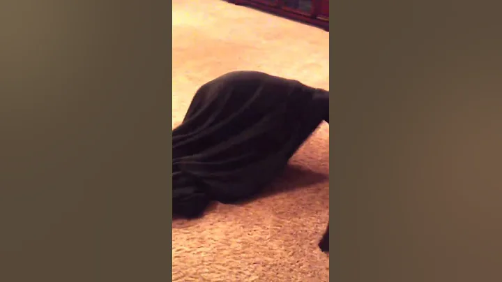 Jax being sillyl