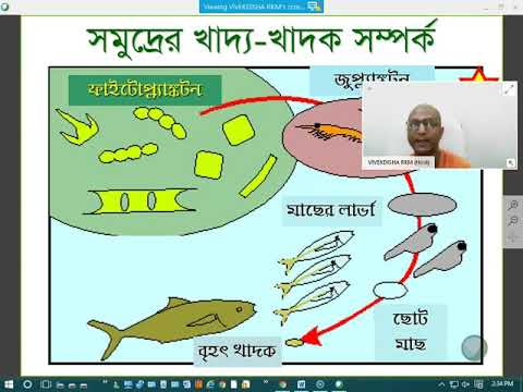 ভিডিও: খাদ্য নিরাপত্তায় সিসিপি কী?