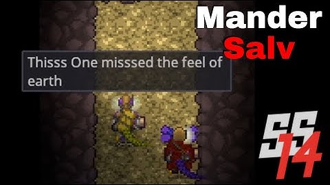 SS14 - Salvaging on Salamander