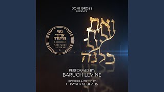 Video thumbnail of "Baruch Levine - V'at Alis"