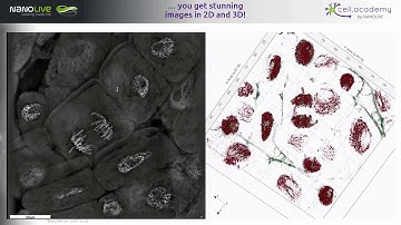 Webinar cell.academy - A 3D Biology Learning Space