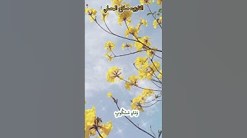 سورة الواقعة وأصحاب اليمين القاريء صلاح المصلي