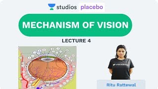 L4: Mechanism of Vision | Human Neural System (Pre-medical-NEET/AIIMS) | Ritu Rattewal